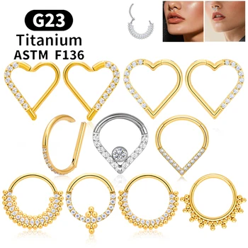 G23 Titanium Round Hoop D Shape Nose Ring Daith Heart Earring 16G CZ Hinged Segment Ear…