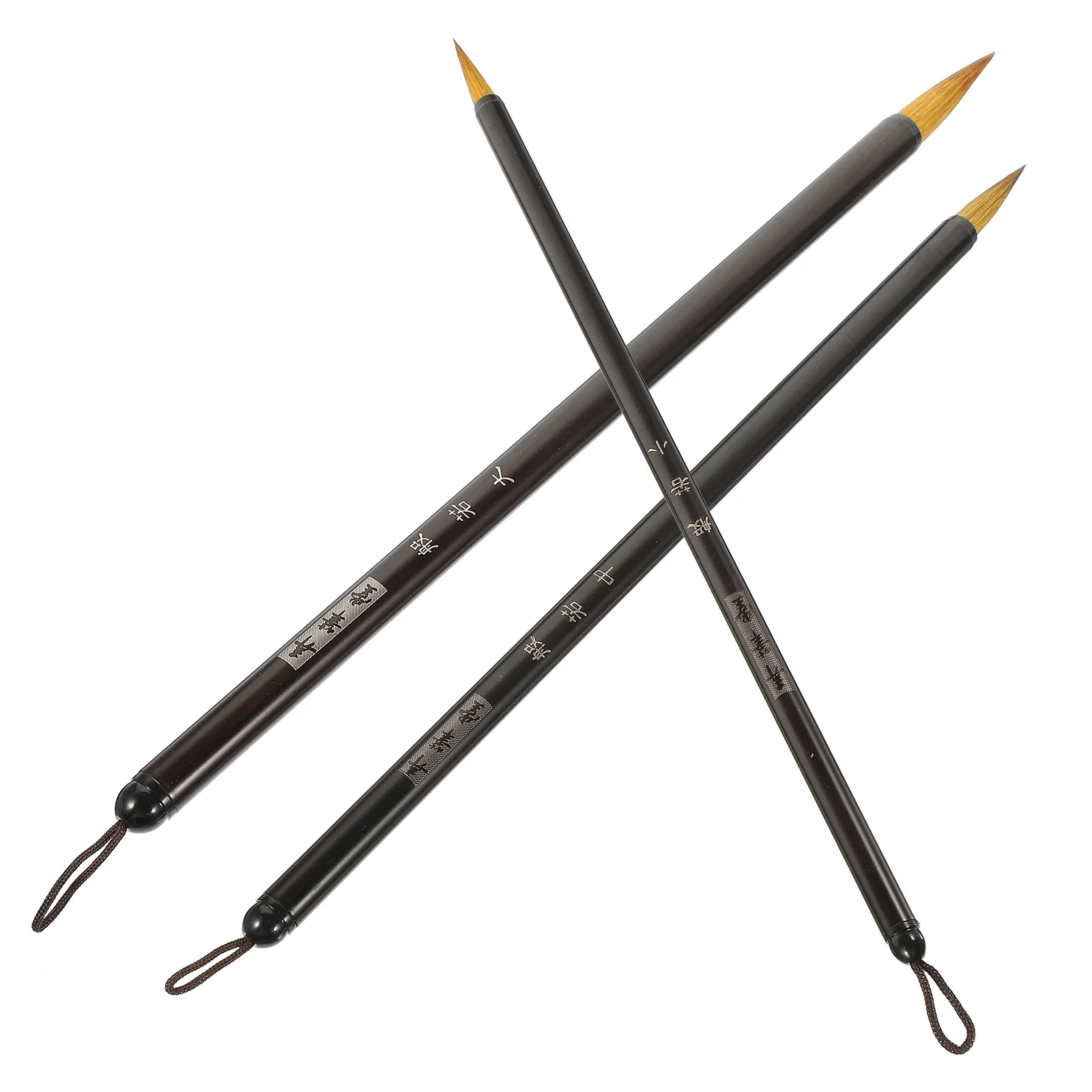 

3Pcs Brush Pen Fine Tip Painting Brush Chinese Calligraphy Brush Portable Painting Brush for