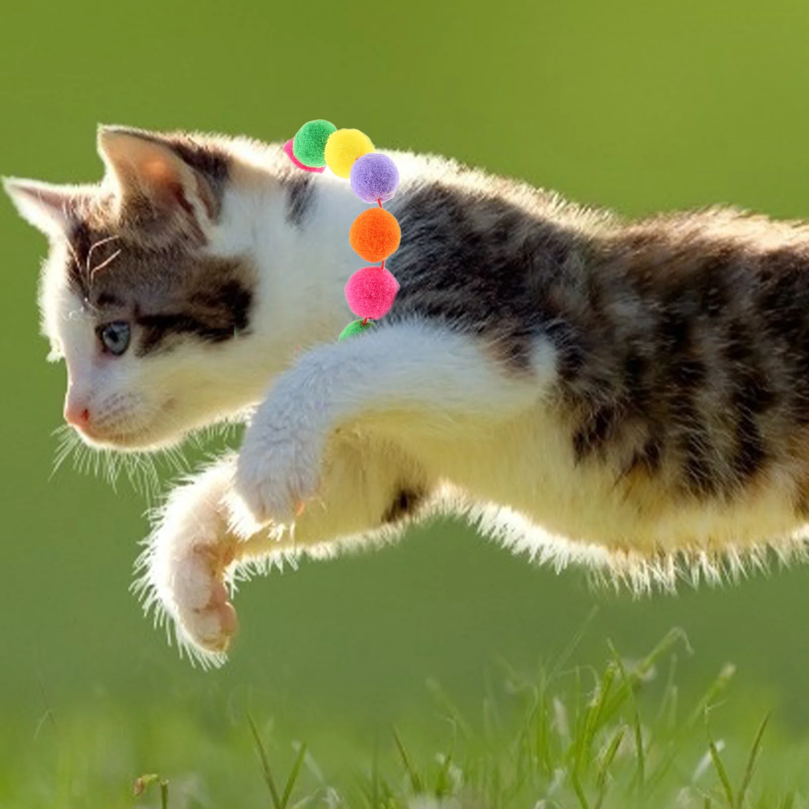 

2Pcs Rainbow Pet Cat Collars Soft Ball Design Adjustable Elastic Collar Lightweight Kitten Dog Collar