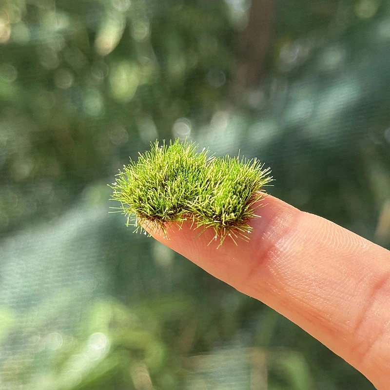 Desk Setup Computer - 29pcs/Box 5mm Irregular Model Grass Clump