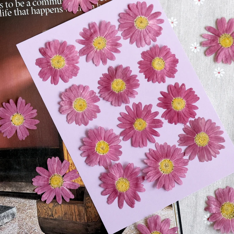 12 قطعة ، الطبيعية ضغط مارغريت زهرة جافة DIY بها بنفسك الوجه البتلة ماكياج النبات إطار صور الايبوكسي المحمول حافظة مجوهرات مسمار الفن حلية