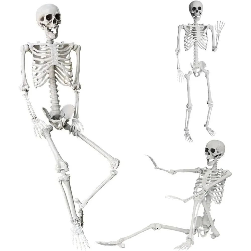 

5.4Ft/165cm Halloween Skeleton Full Body Life Size Human Bones withMovable Joints for Indoor Outdoor Halloween Props Decorations