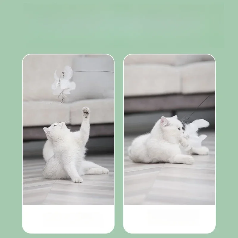 Interactief kattenspeelgoed Handenvrij Kat Stok Spelen Kitten Spelen Teaser Wand Speelgoed Zuignap Vogel/Veer Kat Wand Dierbenodigdheden