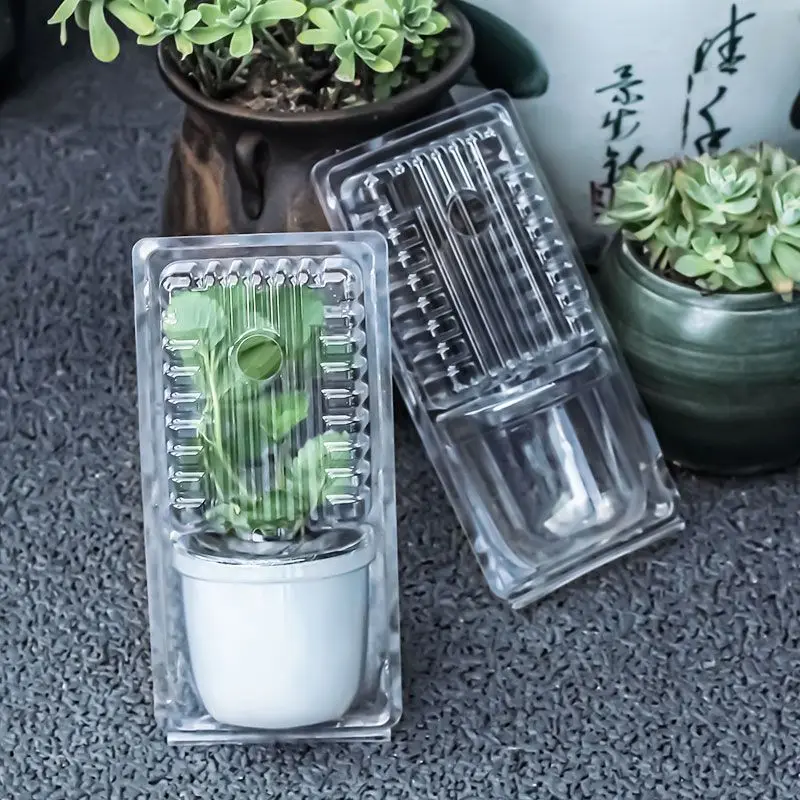 10pcs Green Plant Potted Flower Seedling Packing Box Large Small PET Vacuum Formed Boxes Flower Pot Transportation Package Case