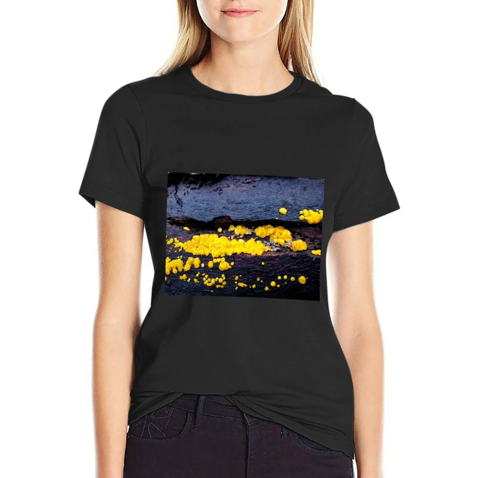Calycina citrina T-Shirt Blouse aesthetic clothes tshirts for Women