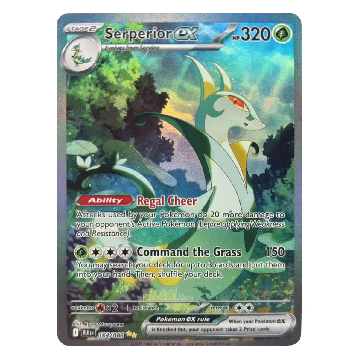 Diy Self Made PTCG Keldeo Hydreigon Kyurem Zekrom Reshiram Rayquaza Mew Flash Card Classic Anime Collection Cards Gift Toys