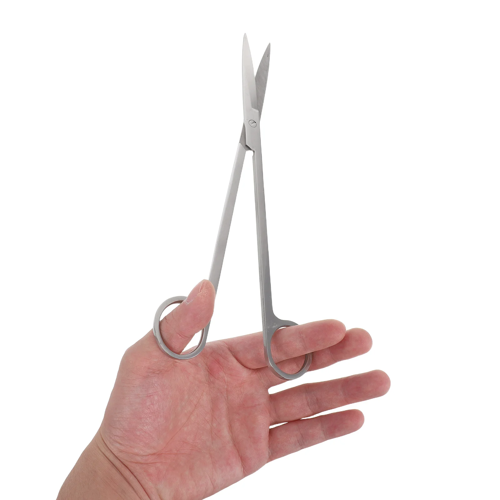 

Water Plant Scissors Stainless Steel Long Handle Mirror Polished Straight Aquarium Trimming Aquatic Plant Scissors