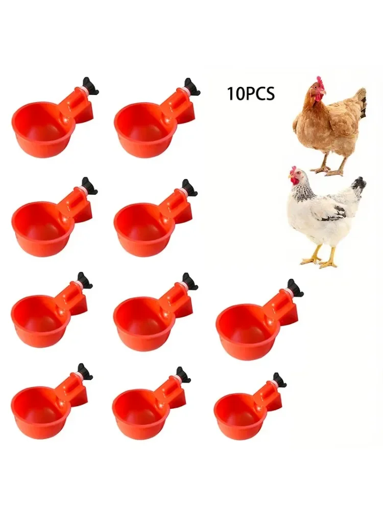 Distributeur d'eau automatique pour volaille, bol à boire pour poulet, Pigeon, petit bol d'alimentation pour poussins, 2/10cs