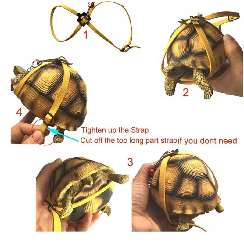 [ABFI!】 Turtle Fast Skate Set, Turtles Playing And Training Includes 1 Adjustable Tortoise Leash 2 Reptile Skateboards 2 Tr