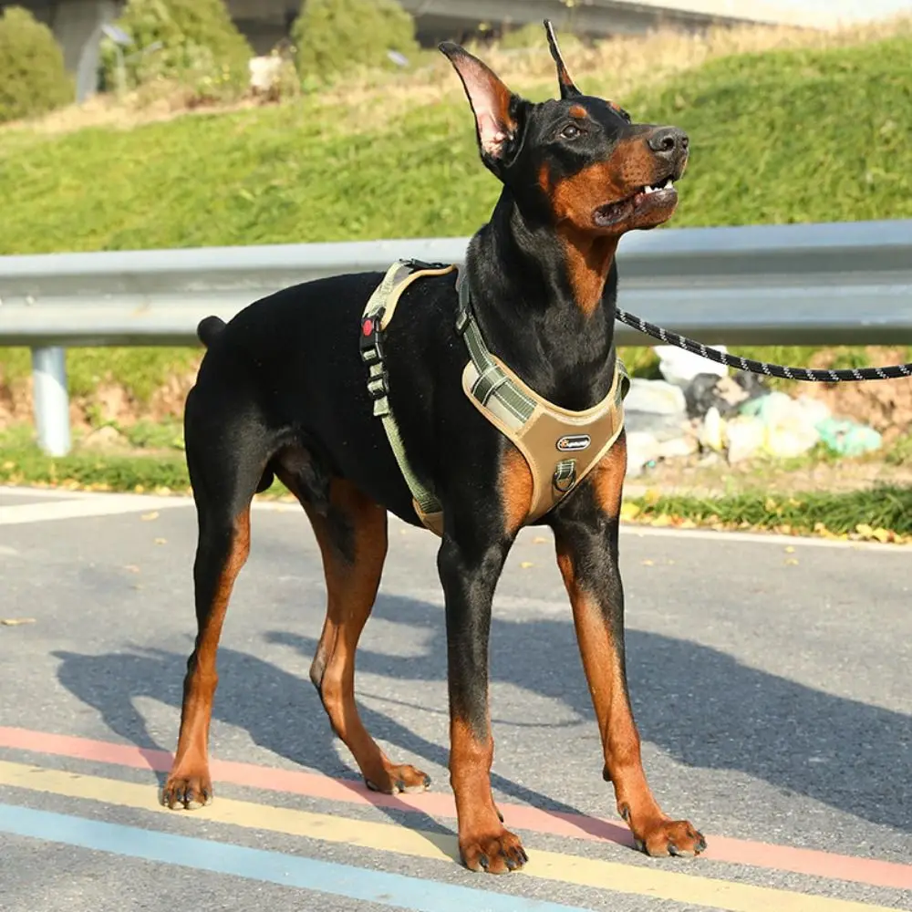 

Adjustable Vest Type Dog Harness Reflective Durable Dog Chest Strap Lightweight Breathable No-Pull Chest Strap Outdoor Use