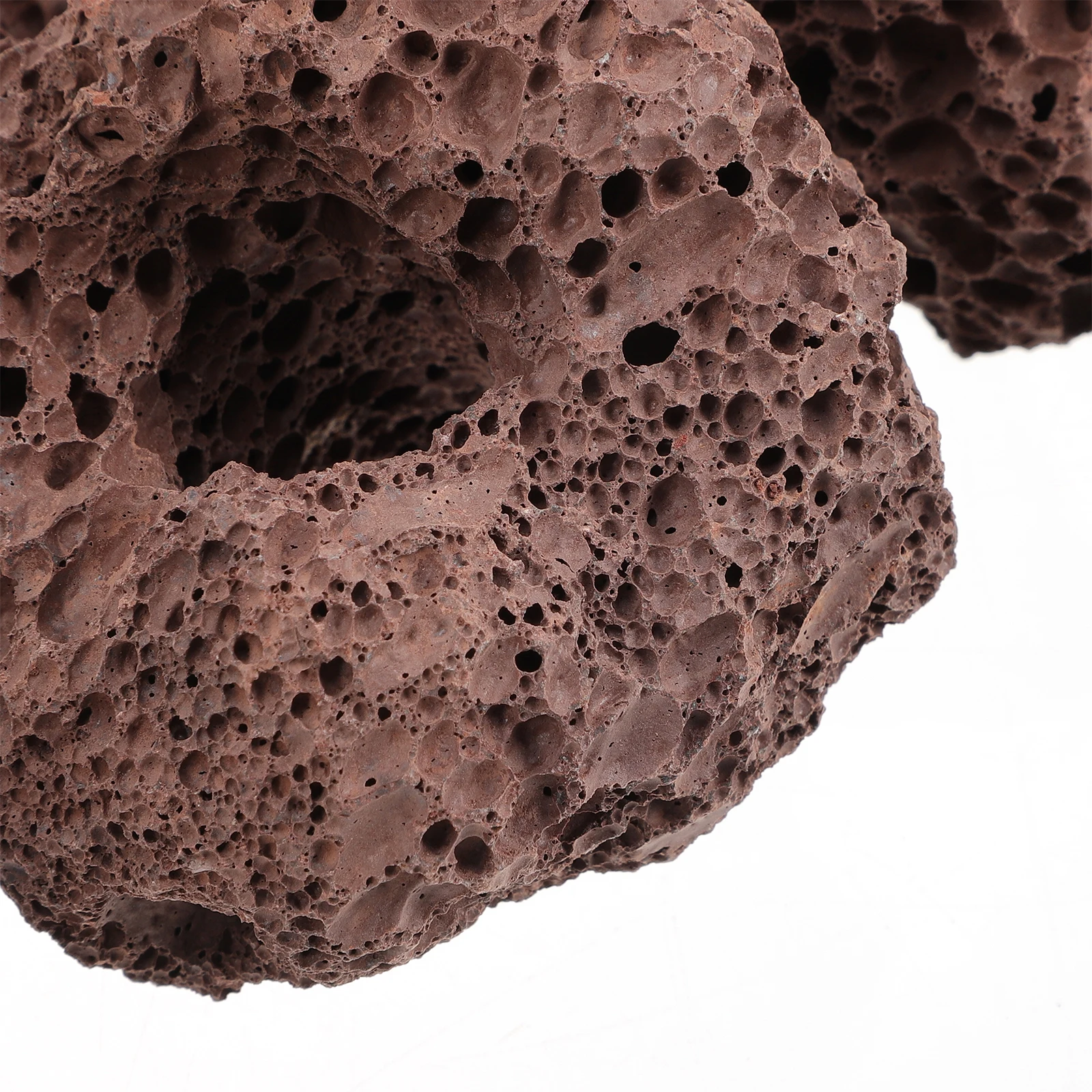 

6Pcs Water Plants Volcanic Stones Fixed Ring Base for Aquarium Fish Tank Decor Functional Planting Accessory Set