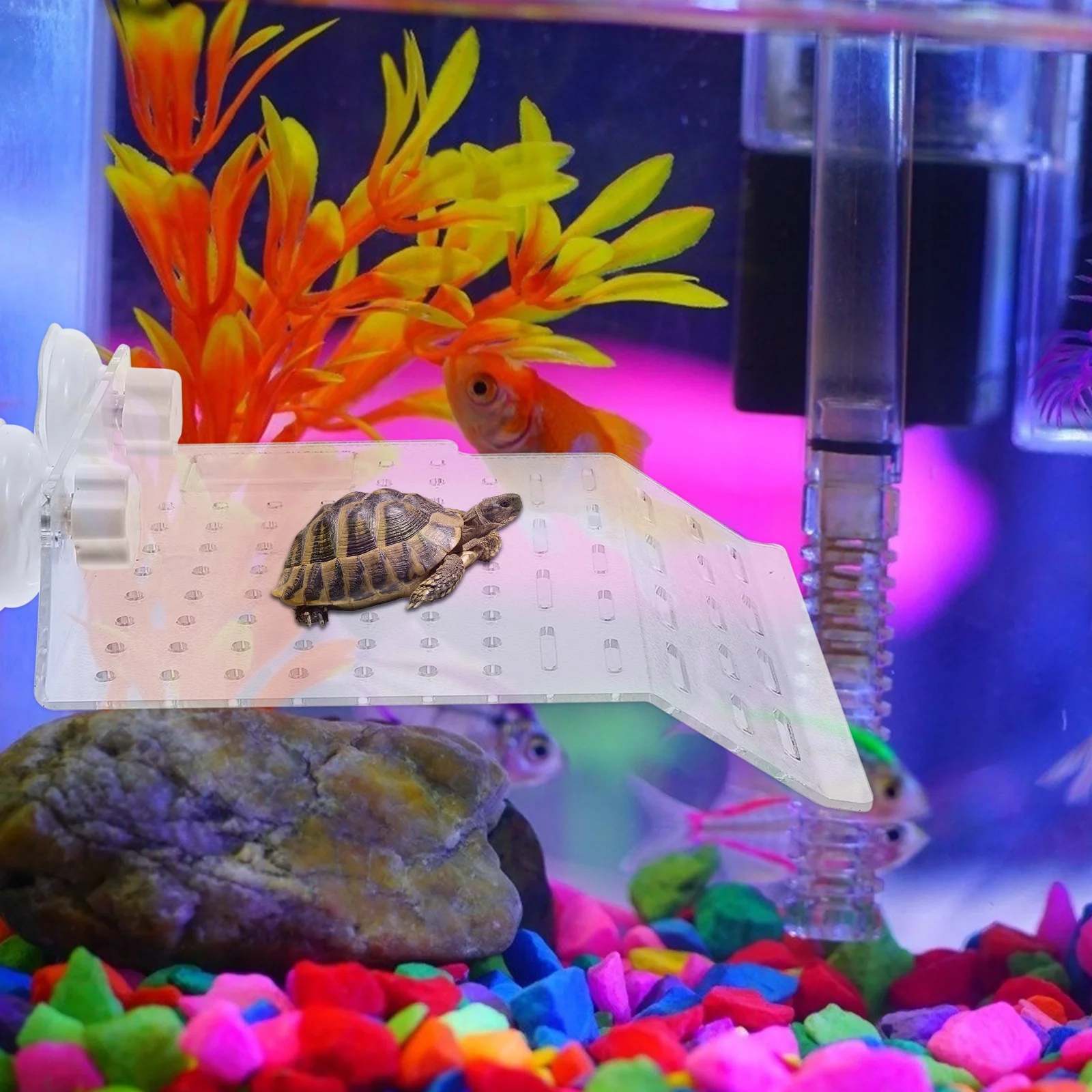 

Turtle Basking Platform Acrylic Floating Resting Terrace Strong Suction Easy Install No Fall Good Stability Bearing Capacity