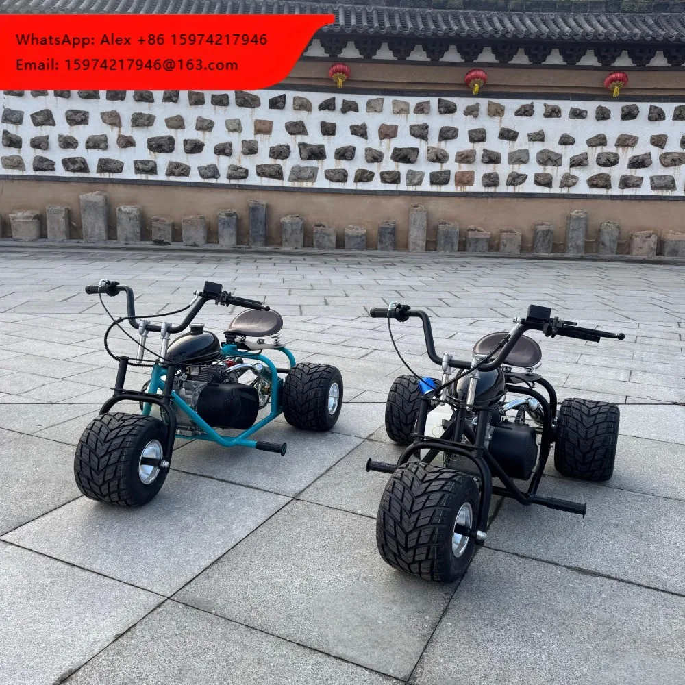 

212cc Mountain Kart 4-Stroke Outdoor Gas-Powered Effortlessly Climbs Steps All-Terrain Racing Go Kart 60km/h Max Speed 200kg