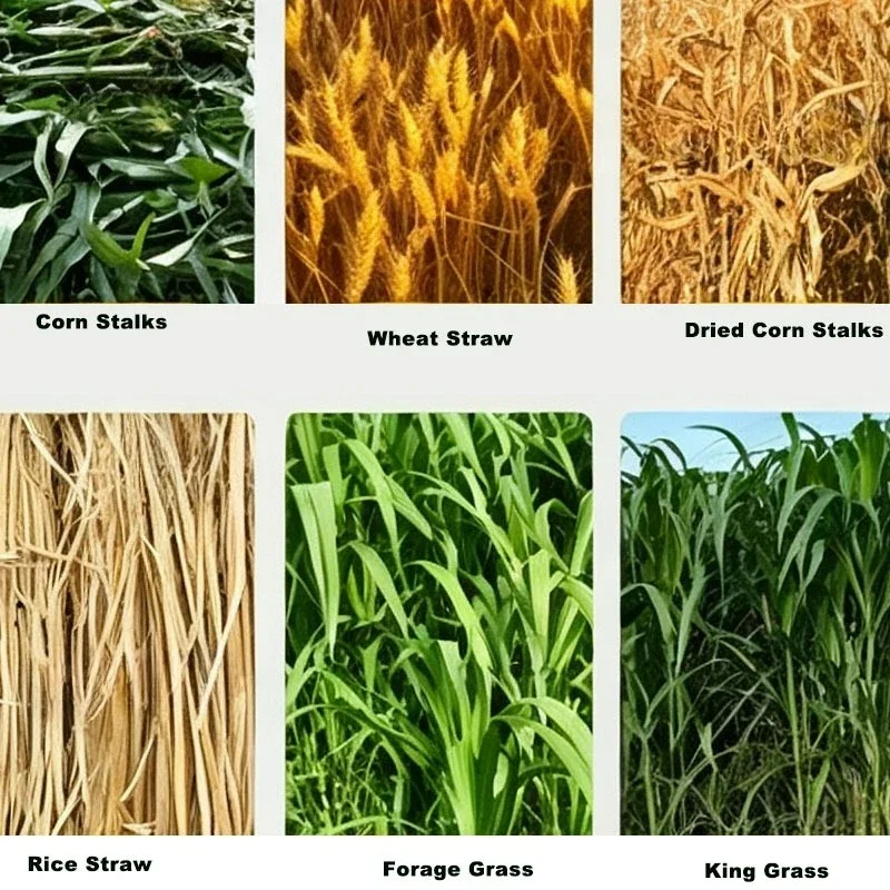 Electric Chaff Cutter Crusher Farm Straw Forage Shredding Apparatus Livestock Feed Chopping and Rubbing Machine for Cattle Sheep