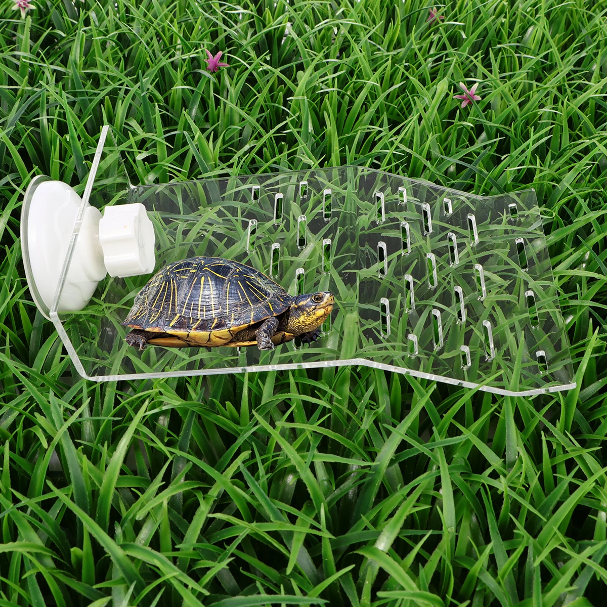 

Plastic Platform Transparent Size S Turtle Slope For Climbing Basking Easy Clean Durable Environmental-Friendly Reptile Tank