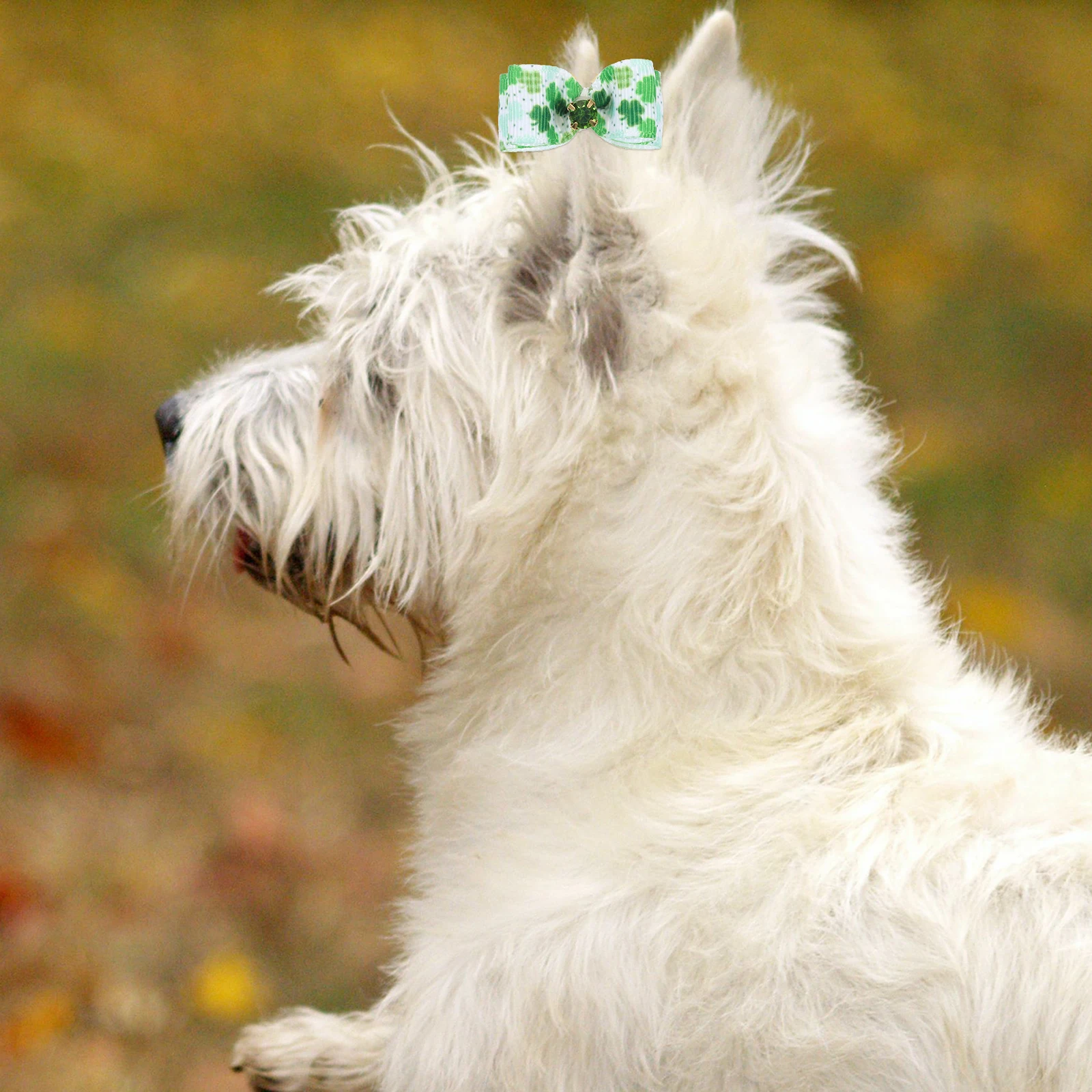 

10pcs Hairb Dog s Hair Tie Headb s Dog Bows s Cat Bows Decorative Accessories St Patrick Theme