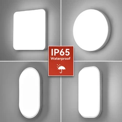 15W 20W Modern LED Wall Lamps Waterproof Front Porch Ceiling Light Surface Mounted Oval for Outdoor Garden Bathroom Lighting