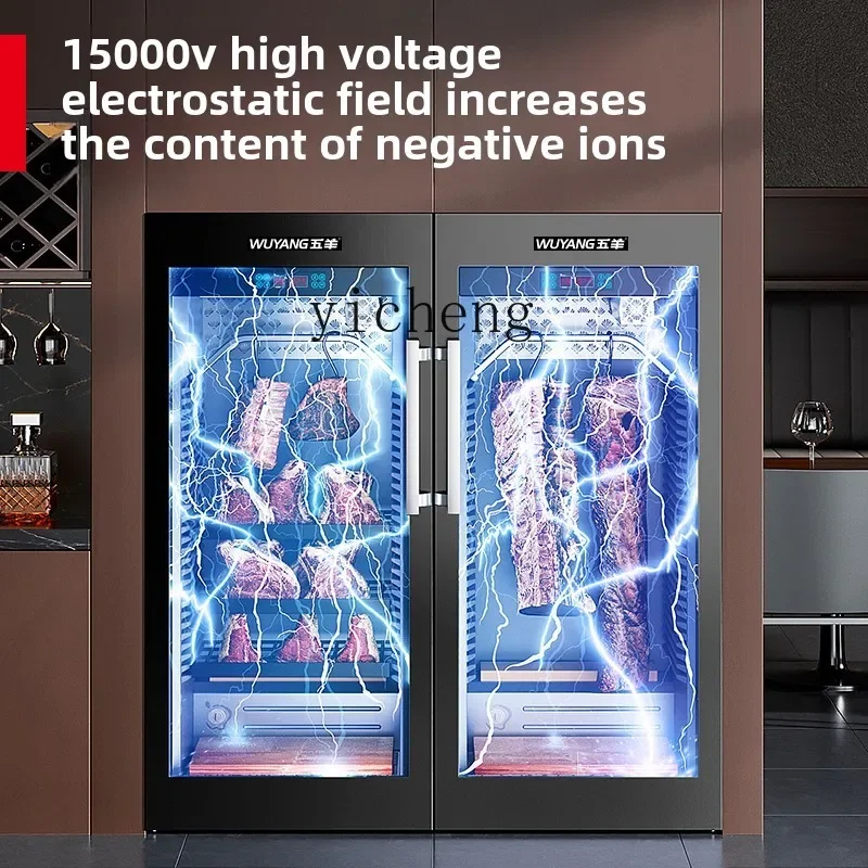 冷蔵・冷凍陳列キャビネット,レストラン用商業キャビネット,xl肉成熟