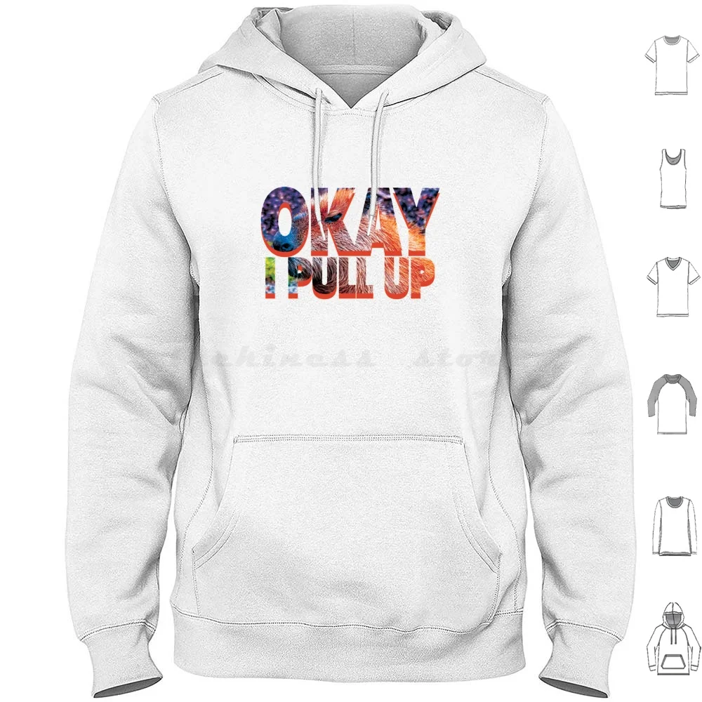 Okay I Pull Up Capybara Meme Hoodies Long Sleeve Capybara Cute Rodent Animal Funny Animals Capybaras Guinea Pig