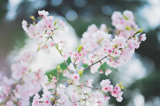 

Алюминиевый диск с глубоким ободом 2.2 дюйма для радиоуправляемых краулеров 1/10 Axial SCX10 ii 90046 Redcat TRXS TRX4