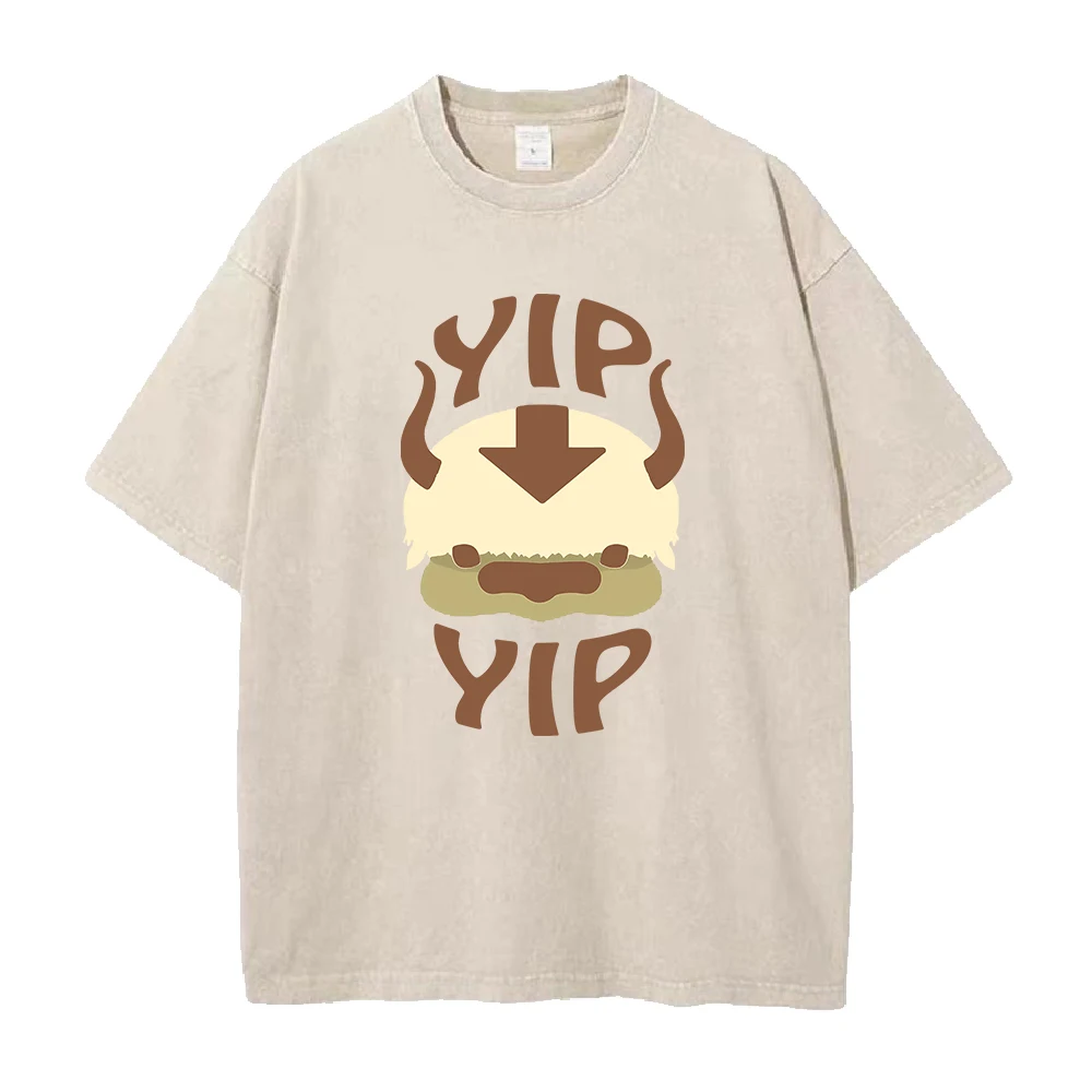 Avatar The Last Airbender T Shirt Men Women Appa YIP Letter Print Tshirts Harajuku Anime Plus Size Washed Cotton Female T-Shirt