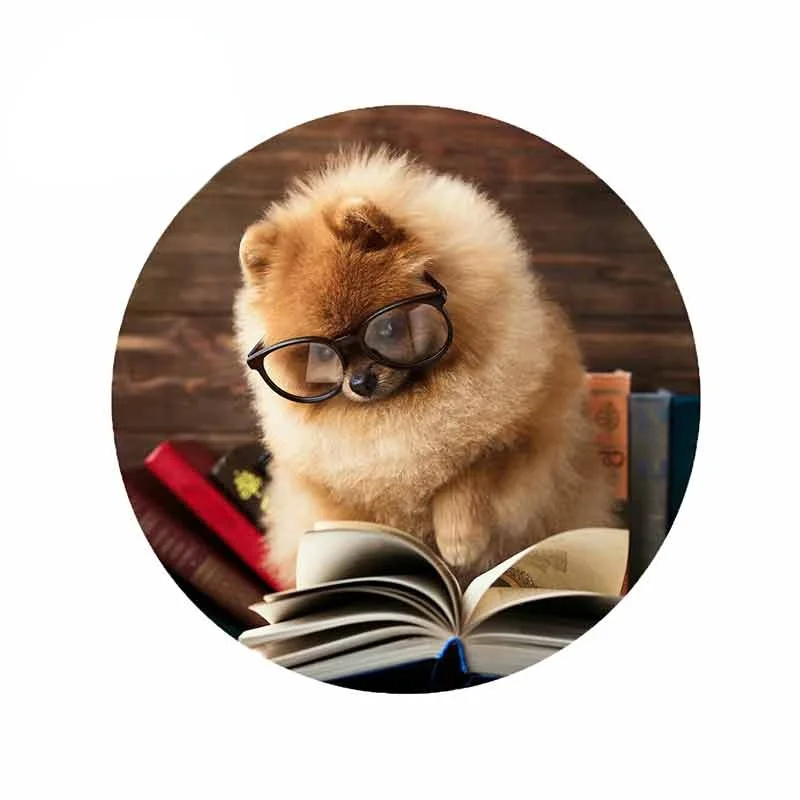 

Y658# Self-adhesive Decal For Pomeranian Dog Reading Book Car Sticker Waterproof Auto Decors on Bumper Rear Window Laptop