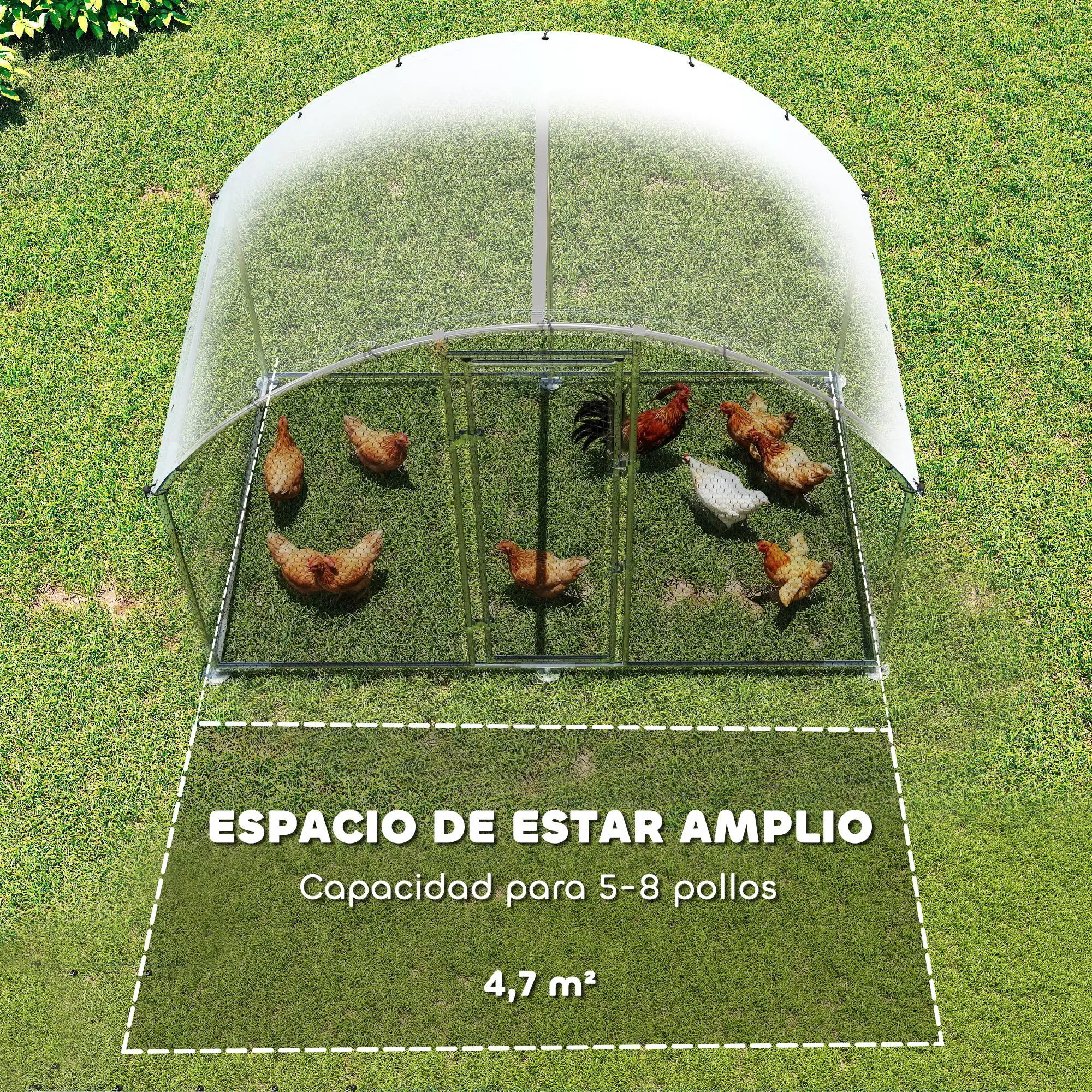Imagen 6