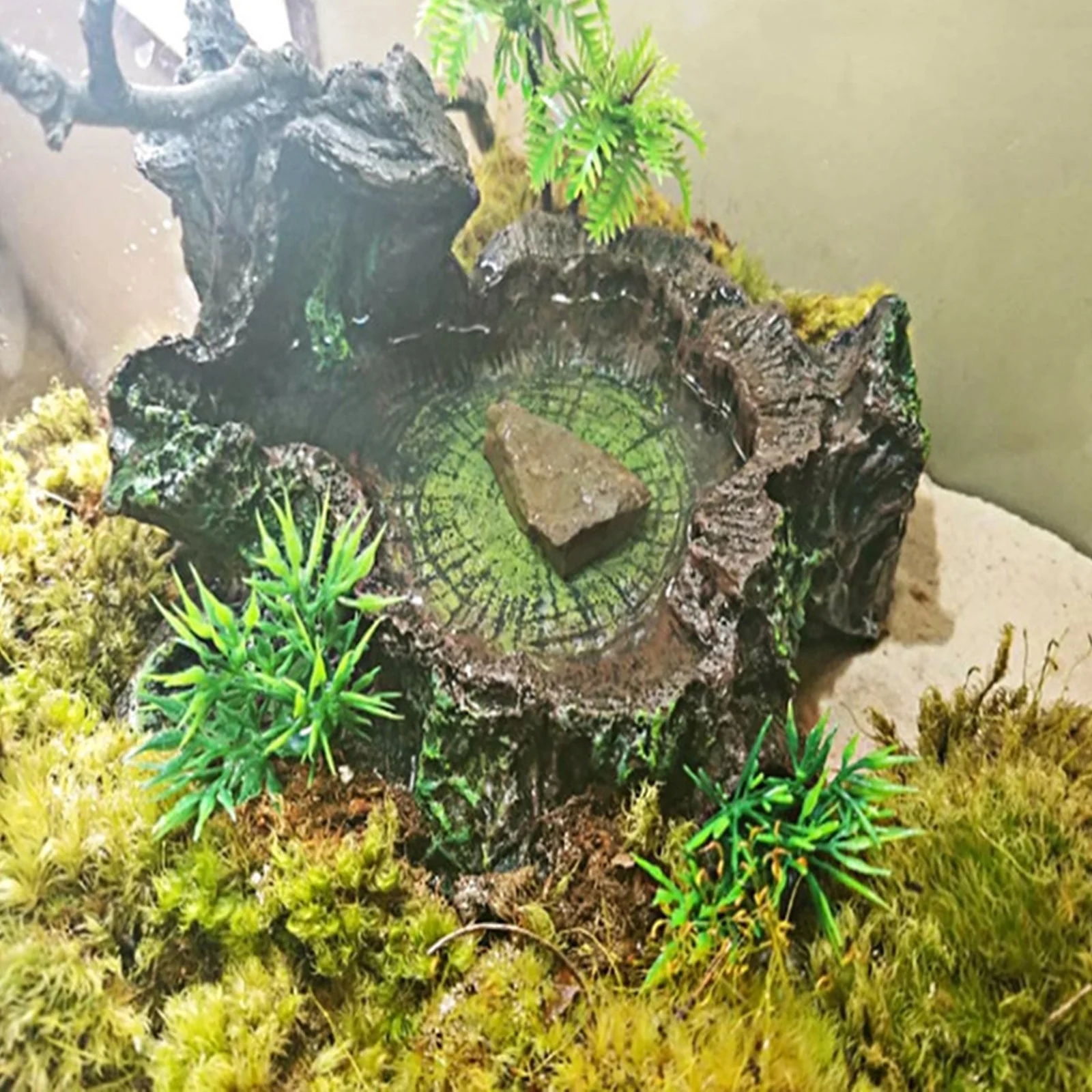 

Wear-Resistant Resin Dish Sturdy Reptile Food Bowl Decorative Feed Bowl for Tortoise Lizard Tank Reptile Water Dish