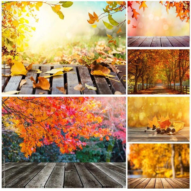 

SHUOZHIKE Natural Scenery Photography Background Fall Leaves Forest Travel Photo Backdrops Studio Props 211224 QQTT-05