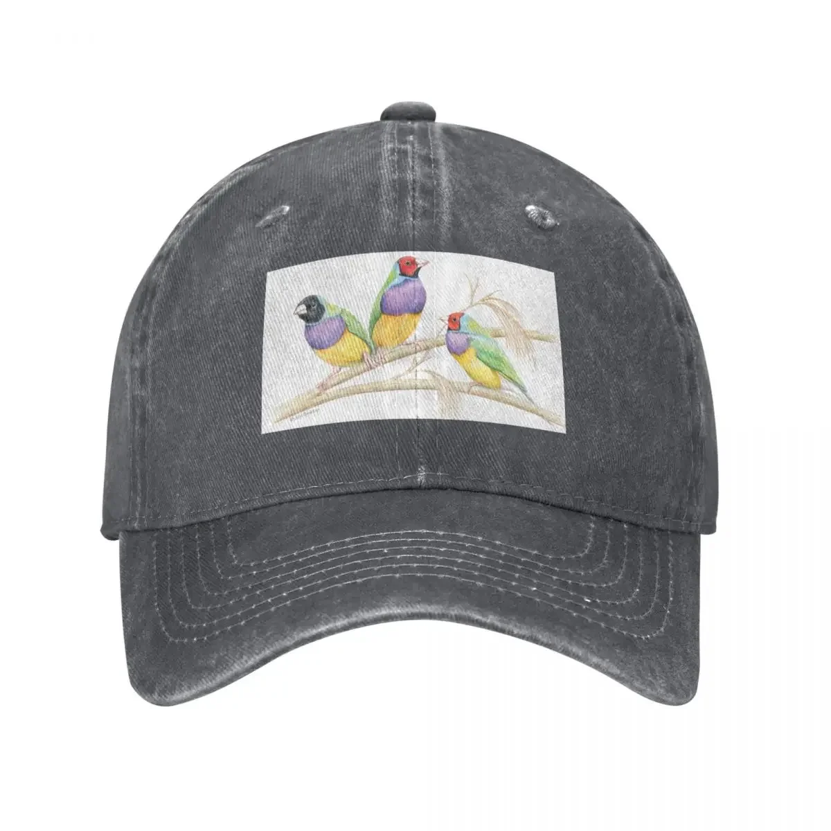 Gouldian Finches Baseball Cap Fishing cap Bobble Hat Beach Bag Women's Hats 2025 Men's