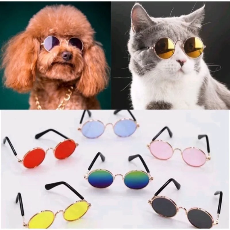 Rutschfeste Katzenbrille, Haustierzubehör, kleiner Hund, Sonnenbrille, Welpe, Kitty, Cosplay, Kostüm, Foto-Requisiten, niedliche Tierbrille