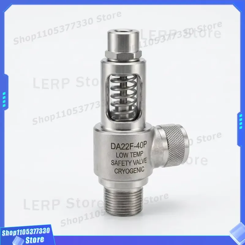 Stainless Steel Spring Loaded Safety Valve for LNG Industrial Cryogenic High Pressure Threaded Relief Valve Durable Design