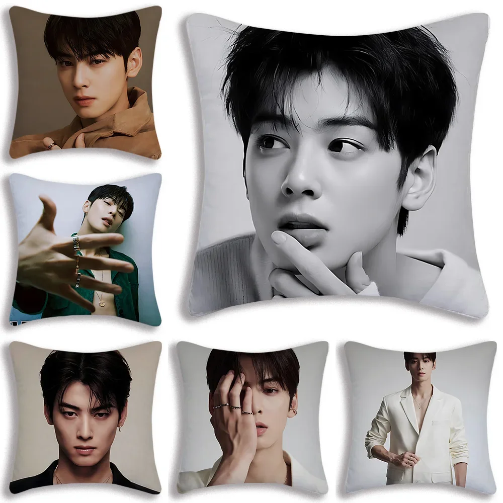 Kpop Singer Cha E-Eun W-Woo Pillow Covers Cartoon Sofa Decorative Home One-sided Printing Short Plush Cute Cushion Cover