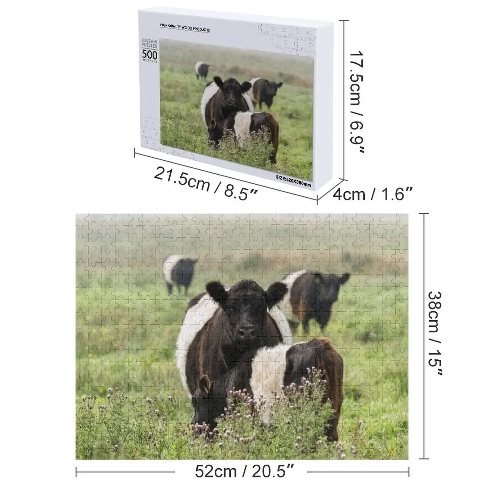 벨트드 갈로웨이 소들 직소 퍼즐 성인용 나무 직소 퍼즐 사진 퍼즐이 있는 애니메이션