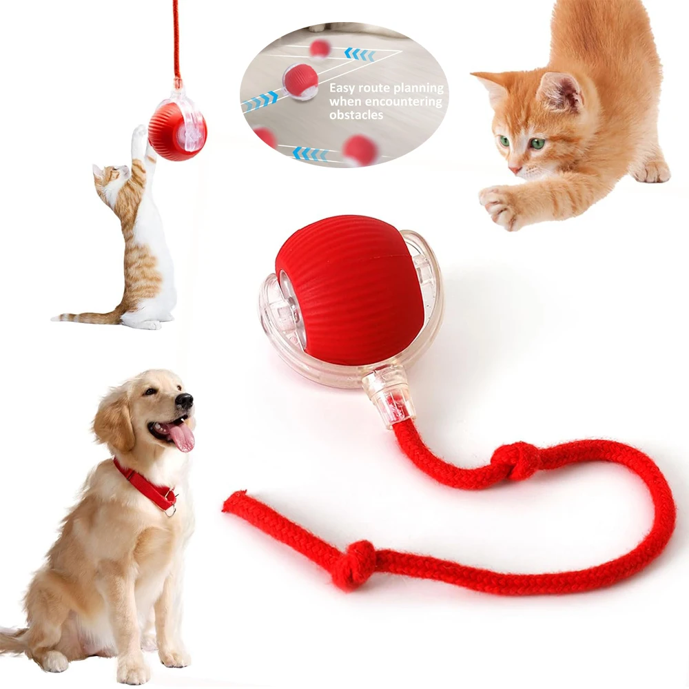 Chewie Viral Rolling Ball Interactive Cat Toys Ball for Indoor Cats Interactive Self Rolling Dog AutomaticToy Smart Automatic