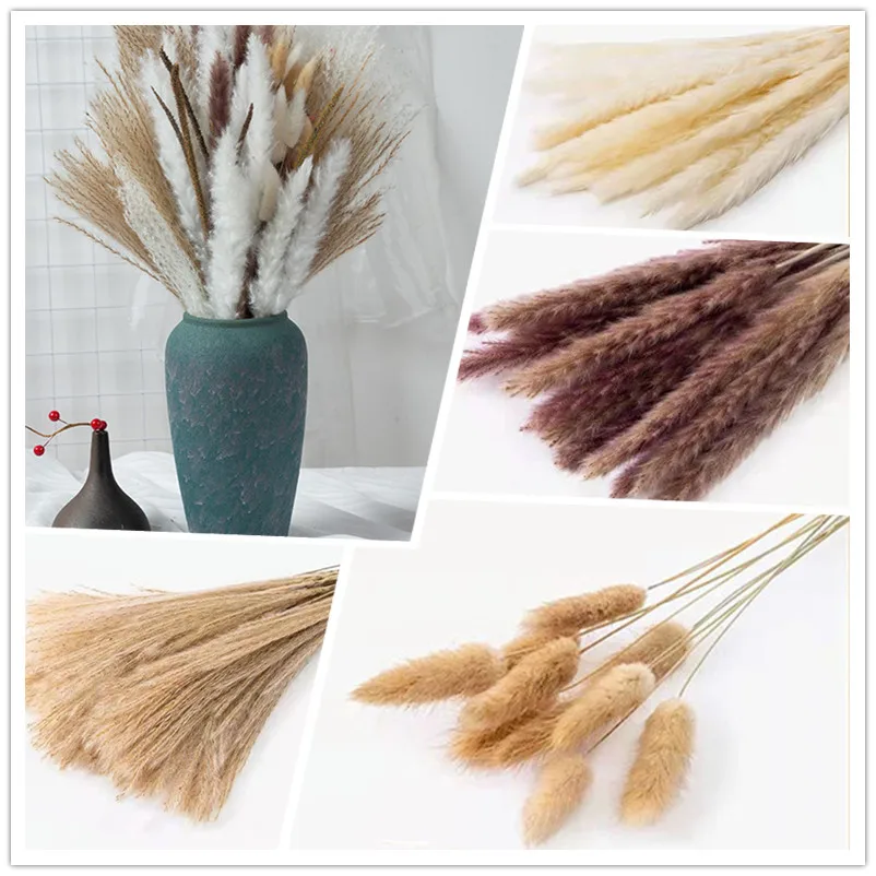 

80Pcs Natural Pampas Grass Phragmites Reed Dried Flowers Bouquet Arrangement Wedding Party Background Decor Christmas Decoration