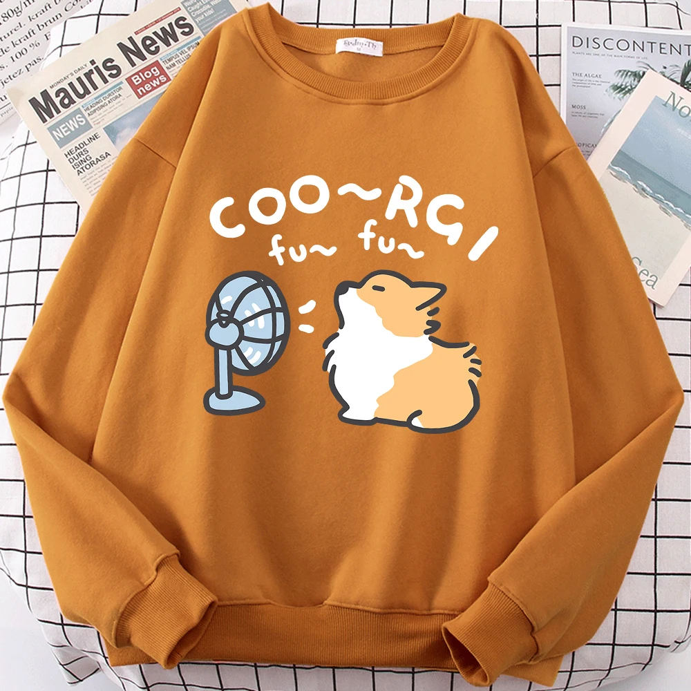 Wind Blowing Corgi Dog Fun Cute Print Cartoons Sweatshirt Men Women Crewneck Pullover Casual Japan Loose Hoodie Cartoons Hoodies