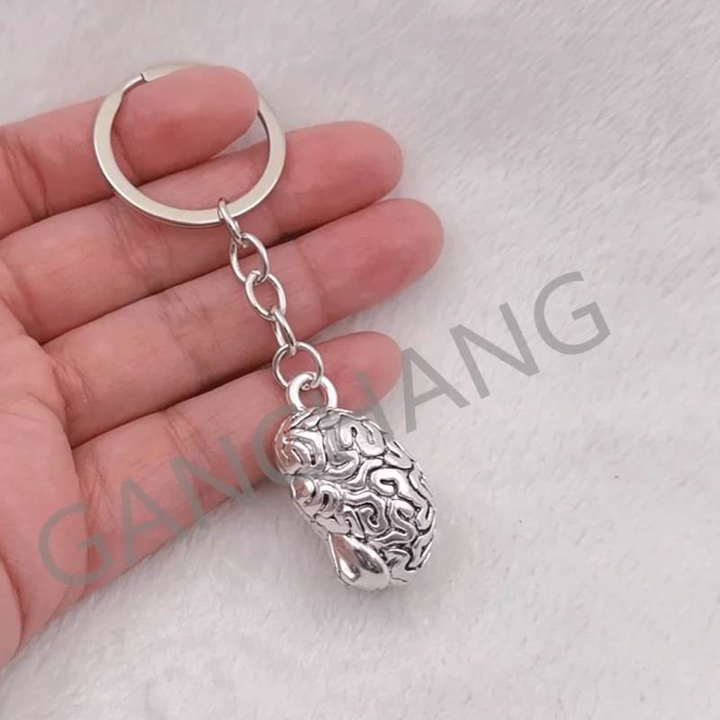 Human Organ 3D brain marrow key chain, human organs, anatomy brain lung viscera, physicians , physicians key chain Gift