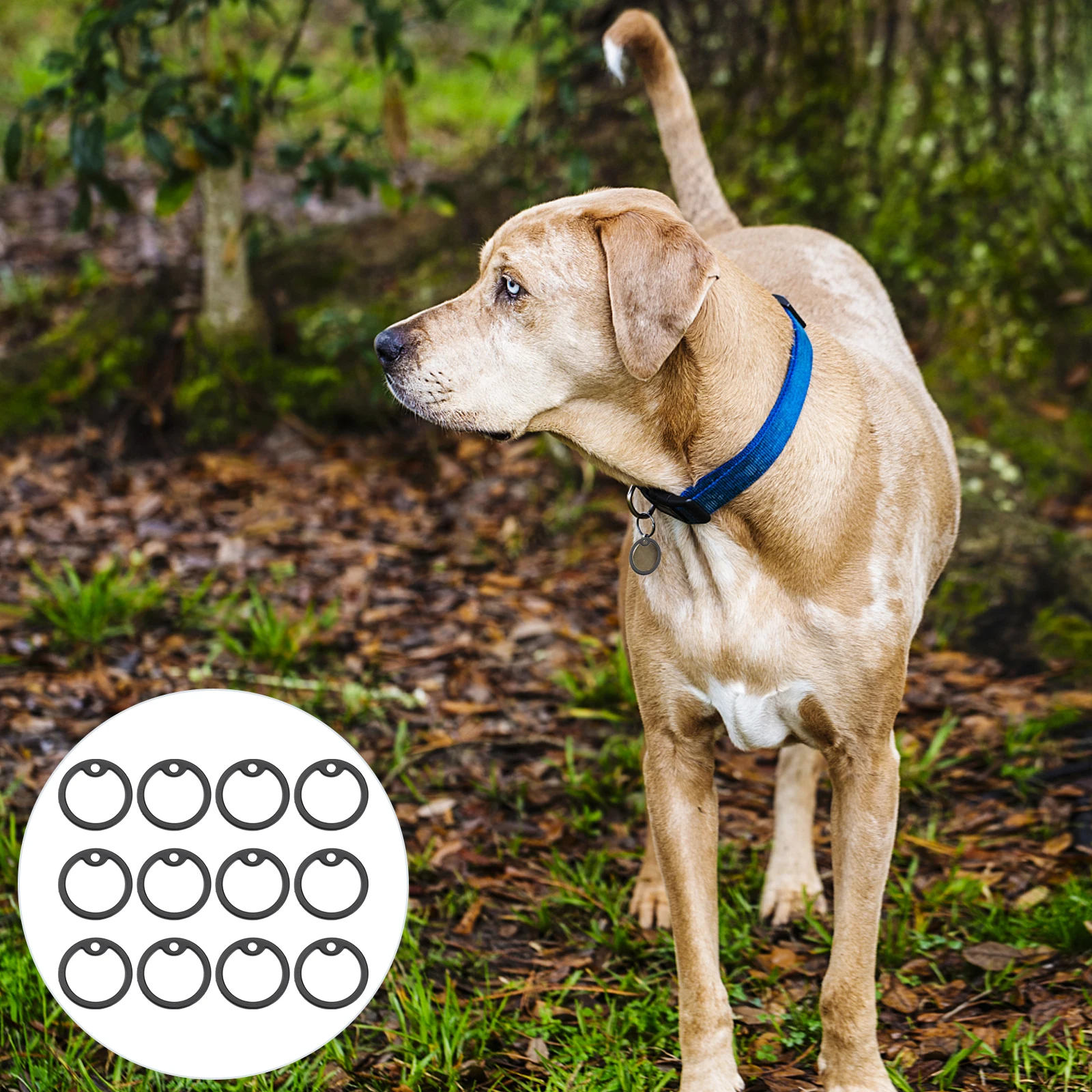

12pcs Dog Tag Silencers Identity Card Sound Silence Circle Durable Silicone Pet Tags Accessories Noise