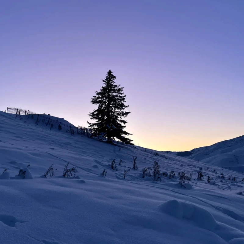 Geprc GEP-CL30 Fram… - image