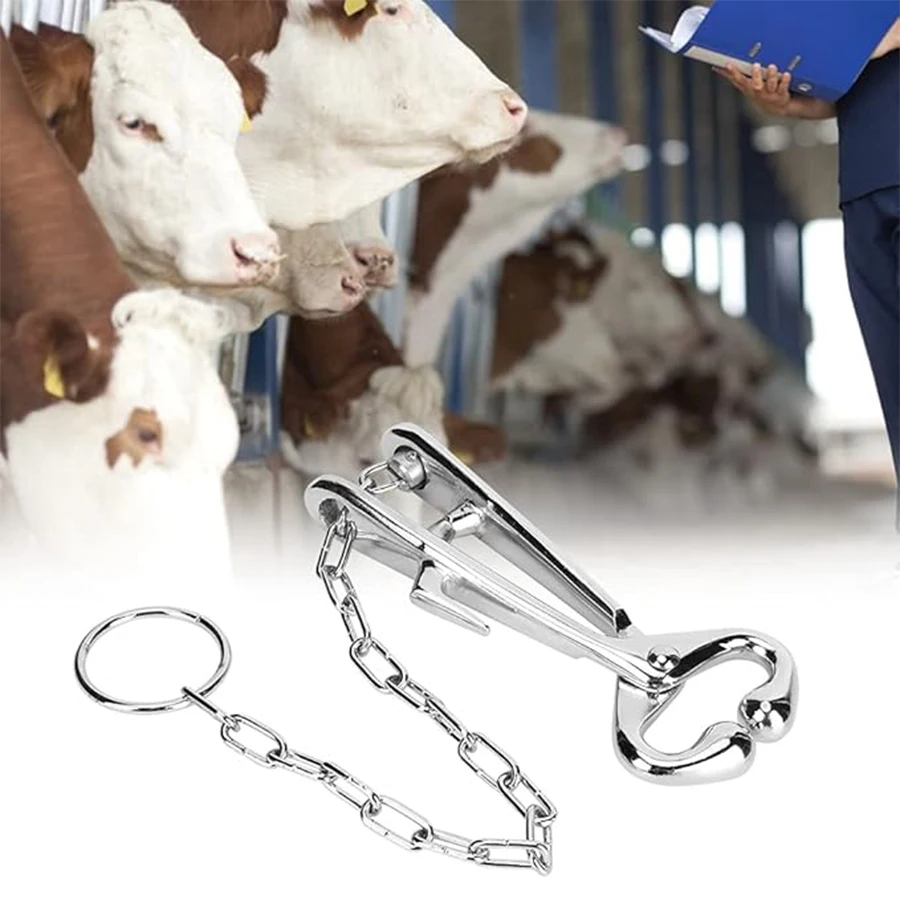 Anillo de nariz de ganado de acero inoxidable, alicate de nariz de vaca, herramienta de fuerza de tracción con cadena, accesorio de equipo de bloqueo de animales de Metal