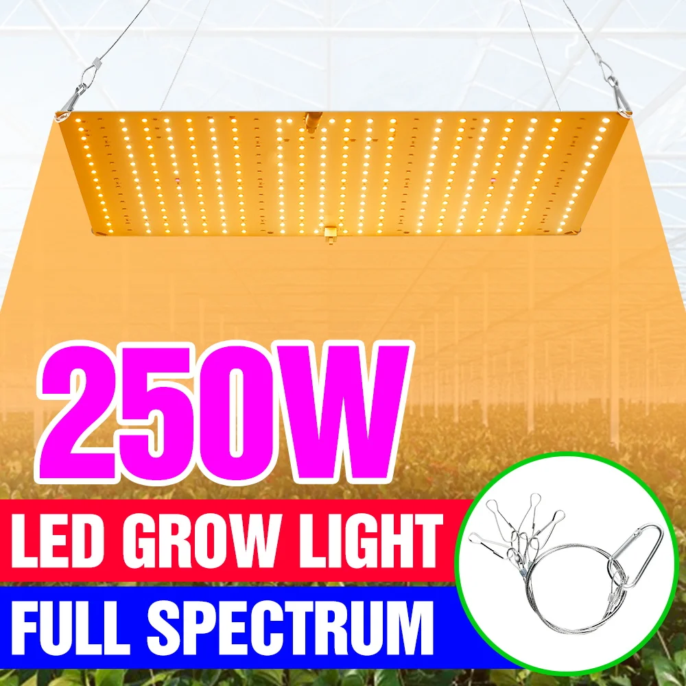 

250 Вт светодиодный полный спектр квантовой доски светильник для выращивания растений комнатная тепличная палатка в горшке кактус гидропоника заполняющее освещение вилка европейского/американского стандарта