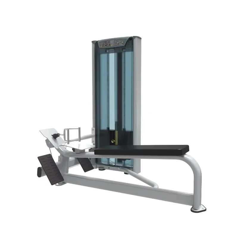 

Тренажер для силовых тренировок YTYIN: Скамейка для разгибания спины с пиновым механизмом и тренажер для сидячей гребной разводки (прямые продажи с завода)