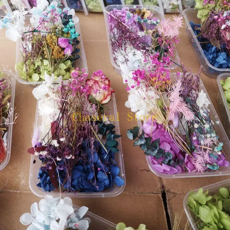 E7ce 1 doos echte mix gedroogde bloemen voor hars sieraden planten geperste bloemen maken ambachtelijke diy accessoires