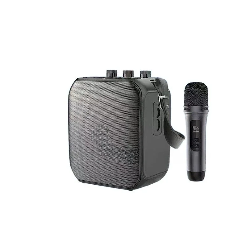 Amplifier Speaker Electric Blowpipe Special Wood Guitar Playing Saxophone Audio Musical Instrument Outdoor Live