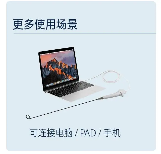 Portable animal endoscope with instrument channel, two-way rotating electronic soft endoscope