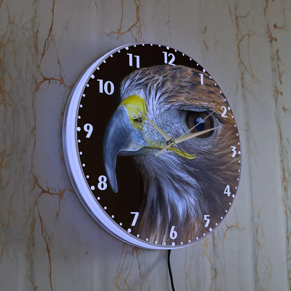 Golden Eagle LED Wall Clock With Backlight Aquila Chrysaetos Home Decor Nature Hawk Sky Raptor Bird Luminous Glowing Wall Watch