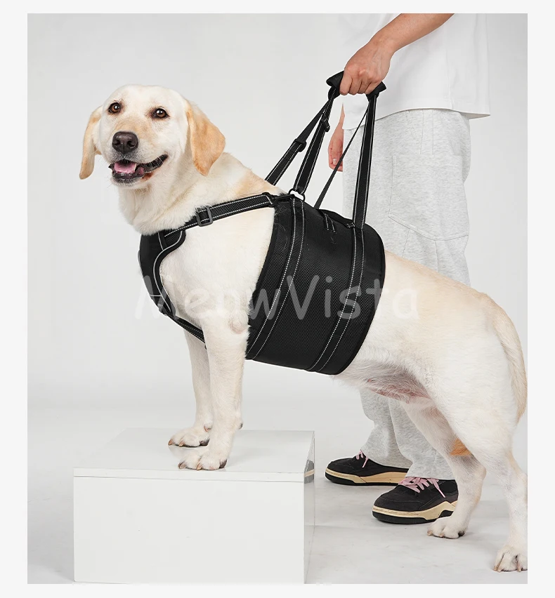 Dog Lift Harness Adjustable Reflective Rehabilitation Support Sling Mobility Aid for Old Injured Medium Large Dog Walking Assist