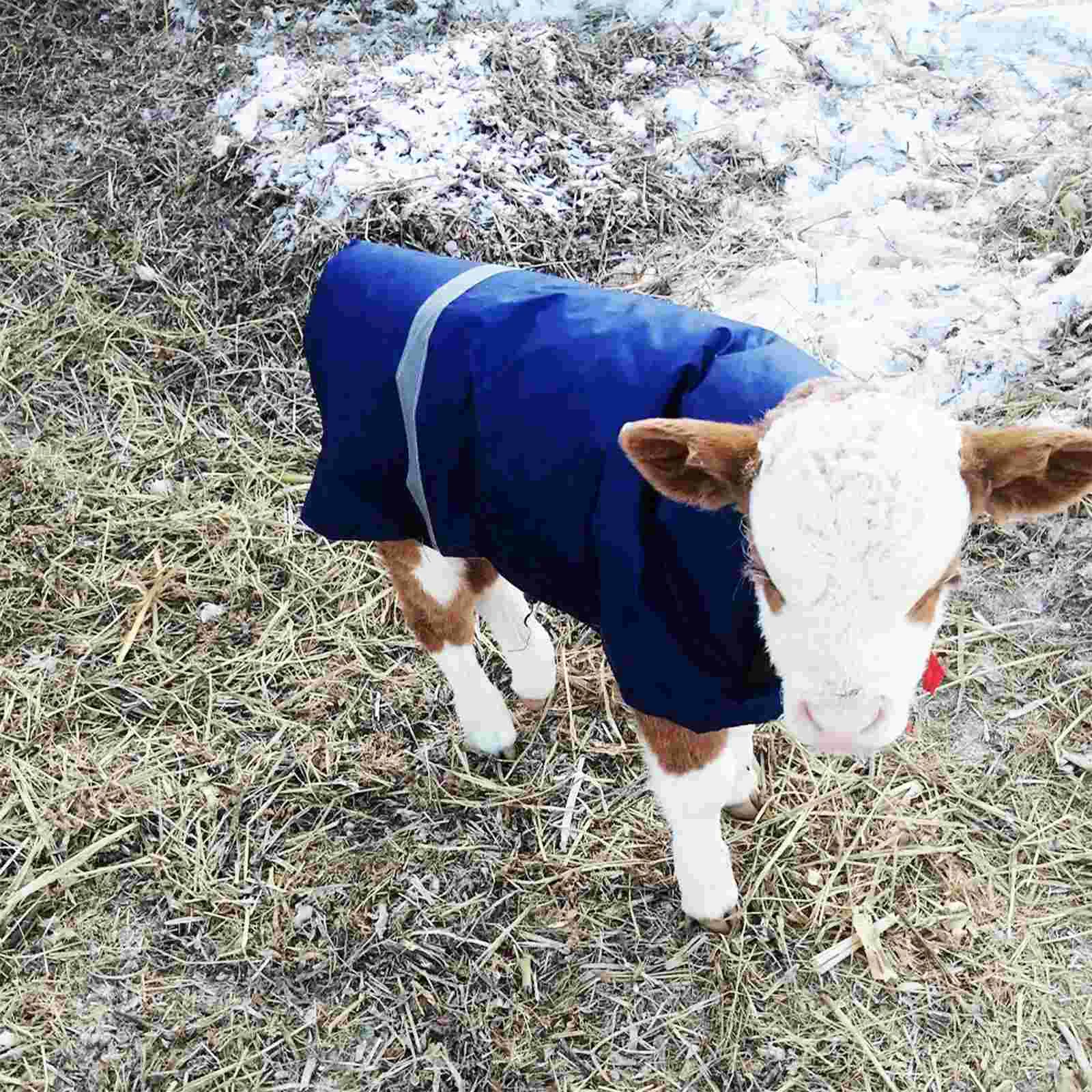 Calf Vest Winter Clothing Blankets for Goat Warm Coat Sherpa Cow Pasture Supplies Lamb Women's