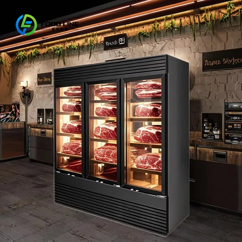 

Dry Age Curing Chamber Customized Commercial Salami Cheese Meat Beef Steak Storage Fridge Refrigerator Cabinets